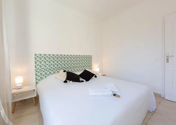 Robert Soleau Bright Design Flat Center Of *